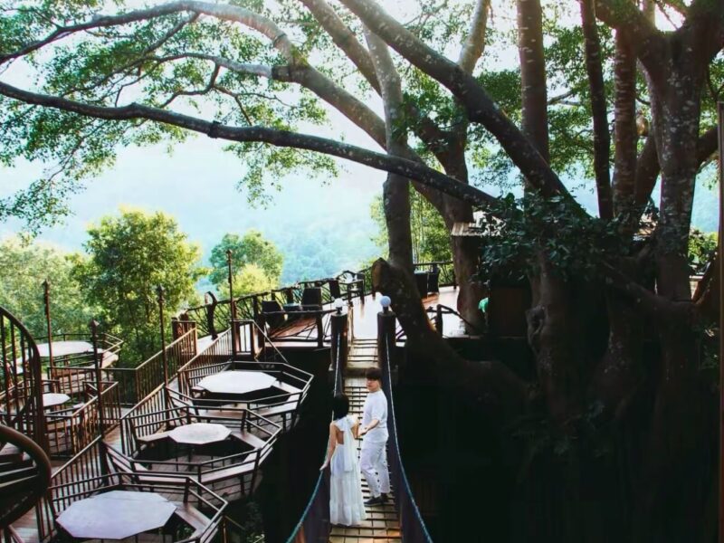 The Giant Chiang Mai