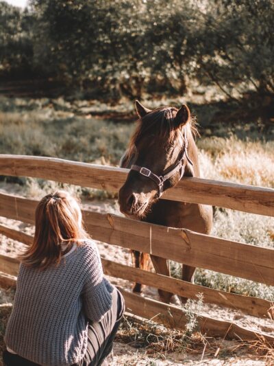 Farm Stays & Rural Homestays