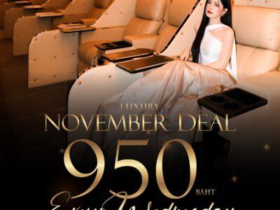 Embassy Diplomat Screens